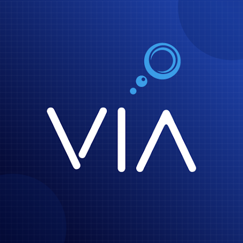 VIA Self Inspections